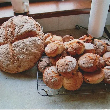 Bed & Breakfast St Patrick's 3*